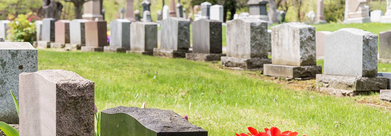 Cemetary row of tombstones